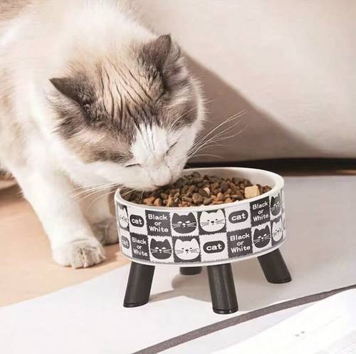 Stainless steel cat food bowl