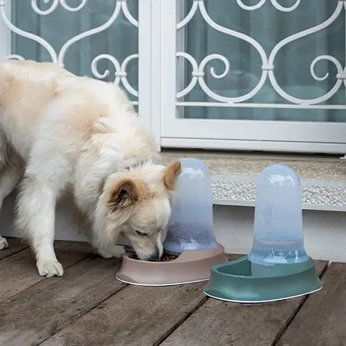 Stefan Plast Chic Cat and Dog Food and Waterer 3.5 Liters