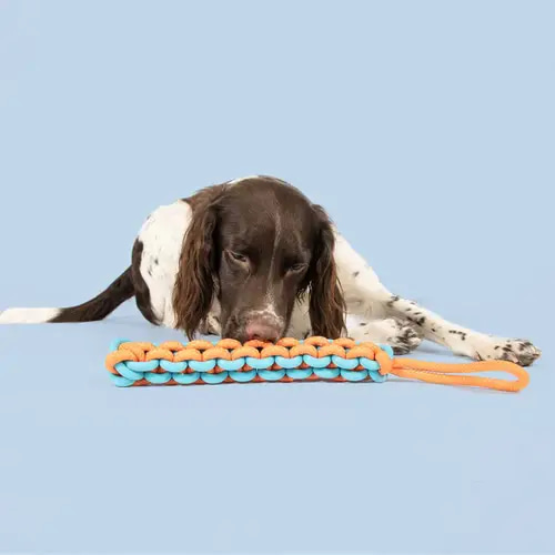 Coockoo Dog Toy Twisting Tugger 45x4,5x4,5cm Blue & Orange