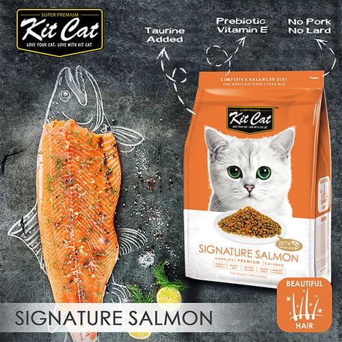 Kit Kat Salmon Dry Cat Food (For Beautiful Fur) 1.2 kg