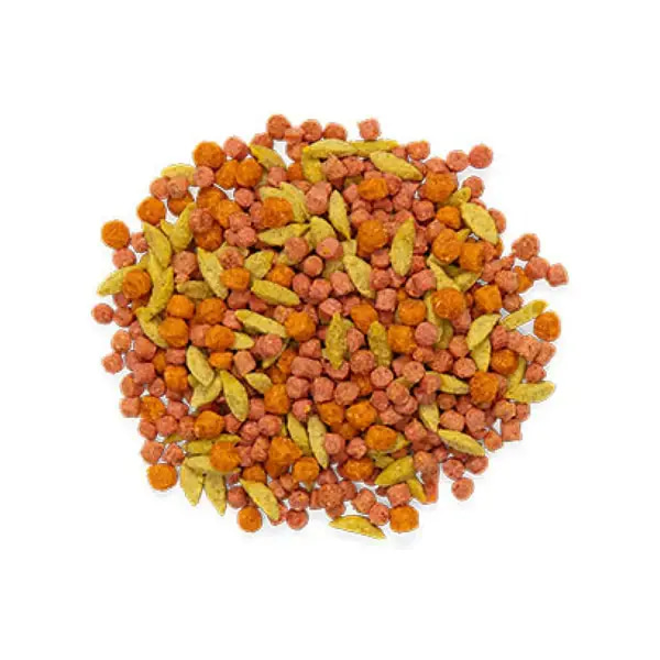 زوبريم مزيج الباستا طعام للطيور متوسطة الحجم