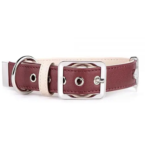 Hermitage Dog Collar - Medium