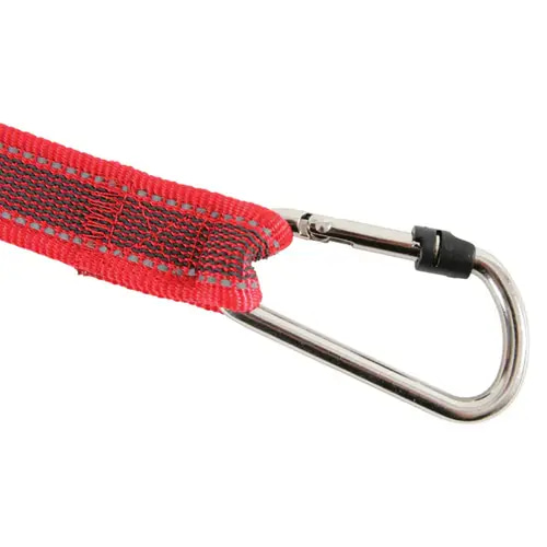 Zolux Move Dog Running Leash, Red, 2 meters