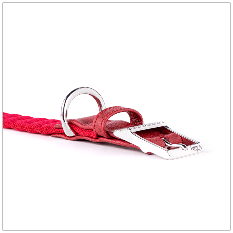 My Family Milan Red Nylon Collar 26 x 1.6 cm