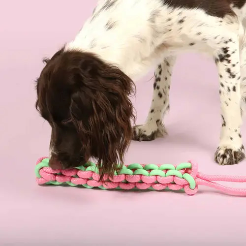 Coockoo Dog Toy Twisting Tugger 45x4,5x4,5cm Green & Pink