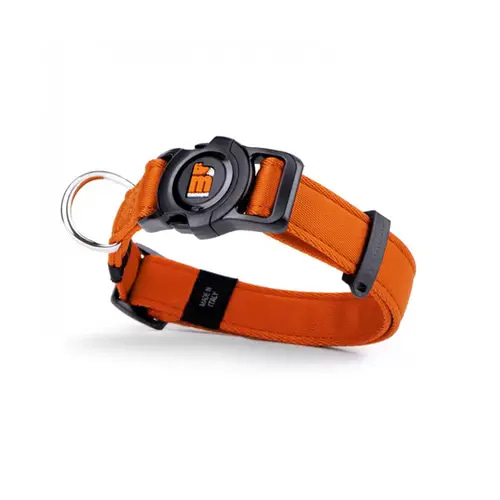 My Family Memopt Dog Collar, Small