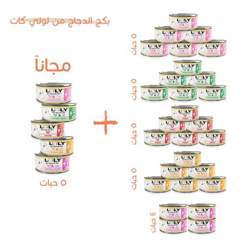 بكج مشكل دجاج طعام رطب للقطط 85 غرام*24 + 5مجاناً