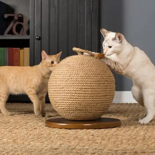 Preview Pet Scratching Ball for Cats