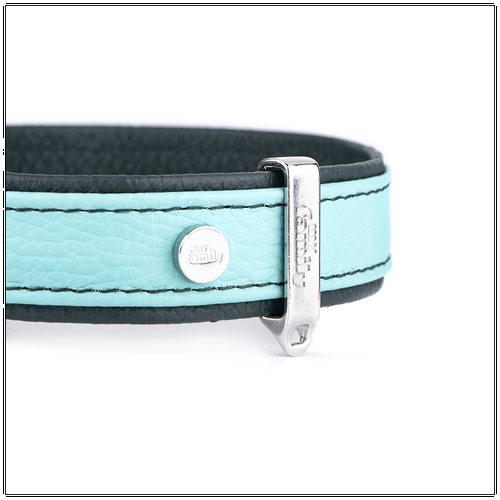ماي فاميلي فيرنزي طوق جلد أخضر