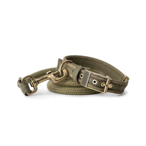 My Family West Green Nylon Collar