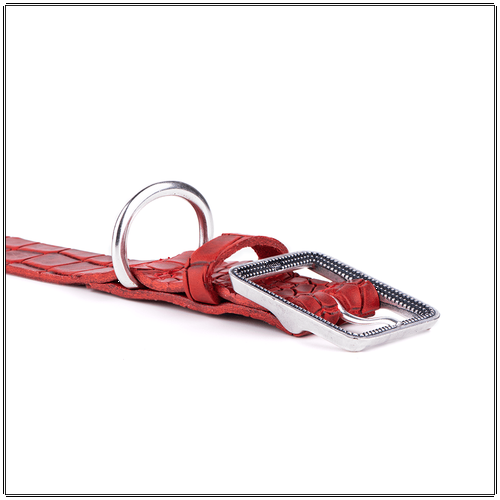 My Family Tucson Red Leather Collar
