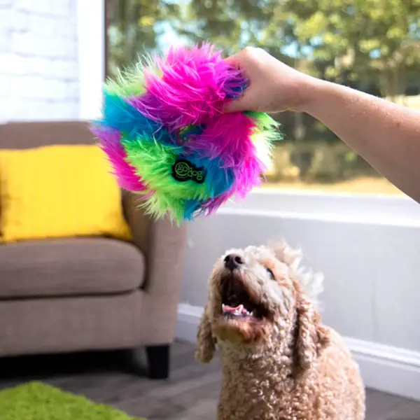 Goo Doc Rainbow Furry Ball Dog Toy