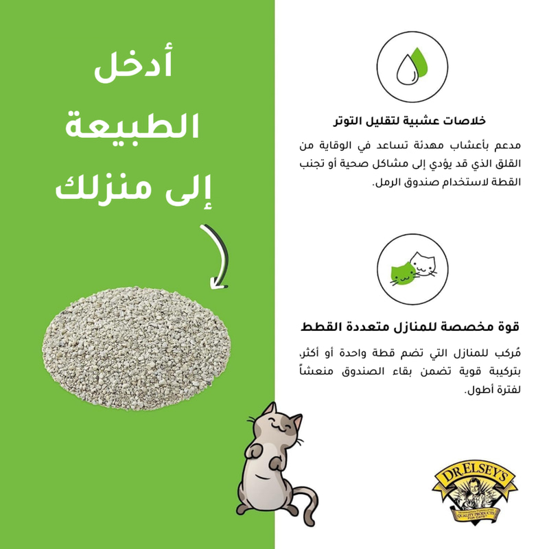 رمل لمسة خارجية ــ د.إلسيز