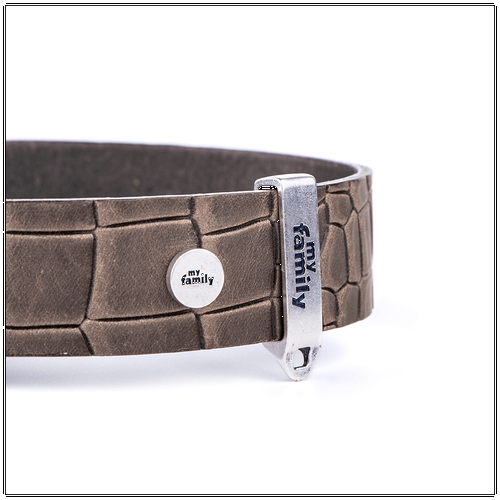 My Family Tucson Grey Leather Collar