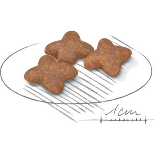 Royal Canin 8kg Dry Food for Adult Small Breed Dogs