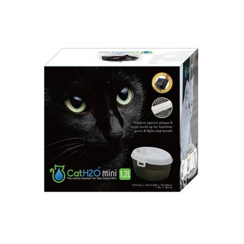 Electronic water fountain for cats with filter and dental care feature