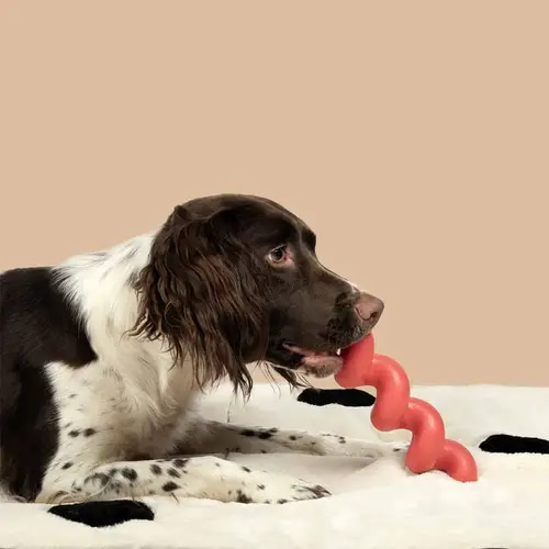 Coockoo Dog Toy Squiggle 26,5x5,7cm Red