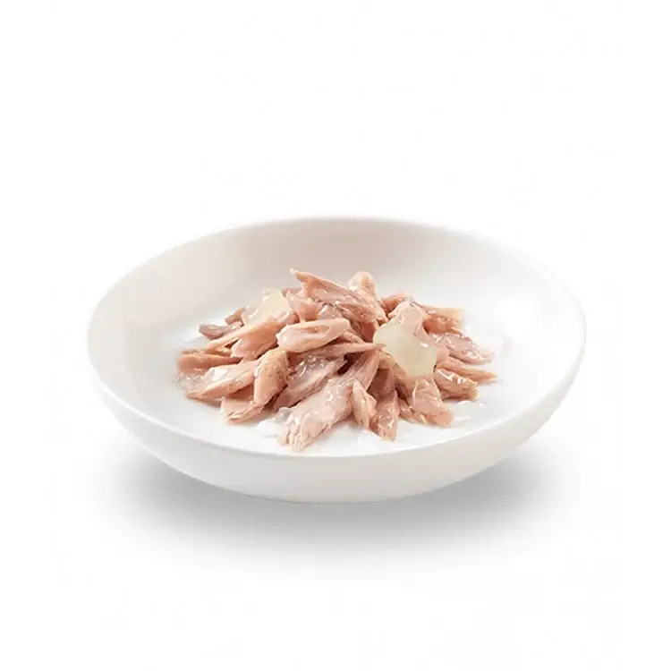Schesir kitten Tuna with Aloe cans 140g