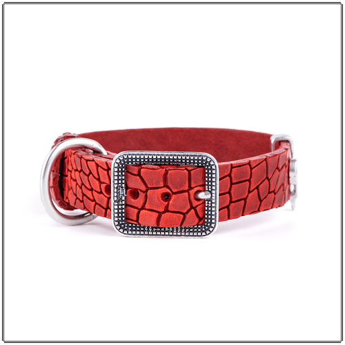 My Family Tucson Red Leather Collar