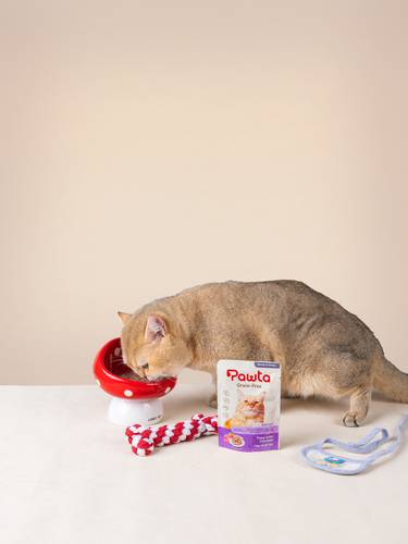 Pawta pouches Tuna with chicken in gravy for adult Cat 70g