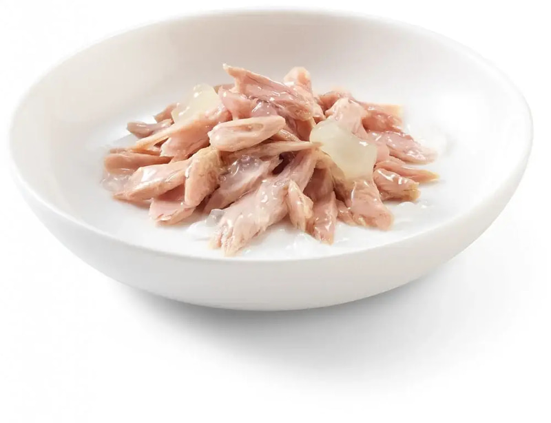 Schesir Tuna and Aloe Cans 85g
