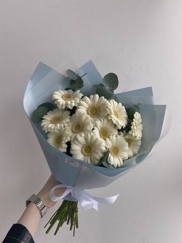 كاليوبي – Calliope