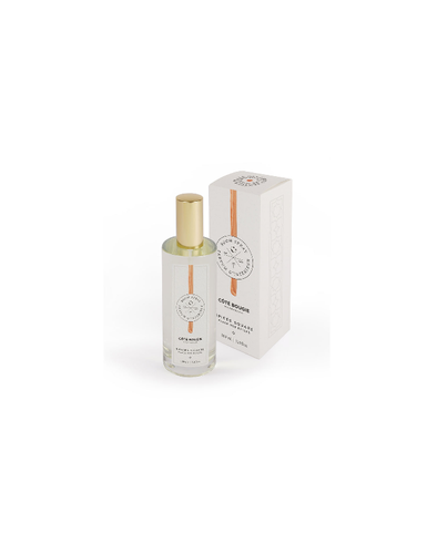 SPRAY D'AMBIANCE 100 ml PLACE DES EPICES