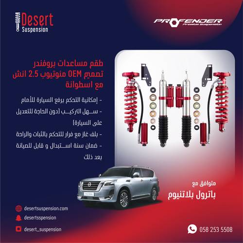 PROFENDER SHOCKS ABSORBER-10