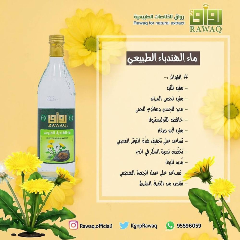 رواق ماء الهندباء الطبيعي