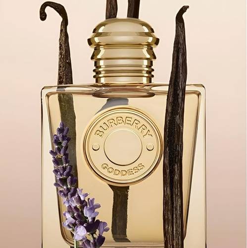عطر بربري جوديس النسائي او دو بارفيوم -100مل