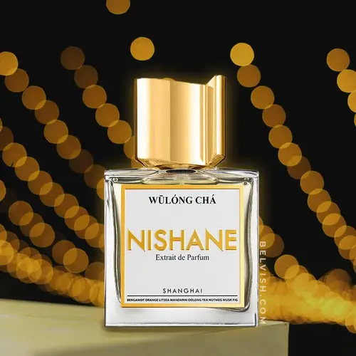 عطر نيشاني ويلونج تشا اكسترايت دو بارفيوم -100مل