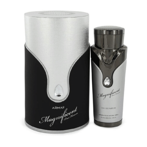 عطر ماغنيفيسنت بور هوم من أرماف للرجال– 100 مل