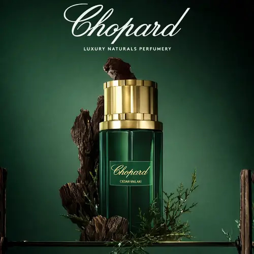 عطر شوبارد سيدار ملكي للجنسين 80 مل