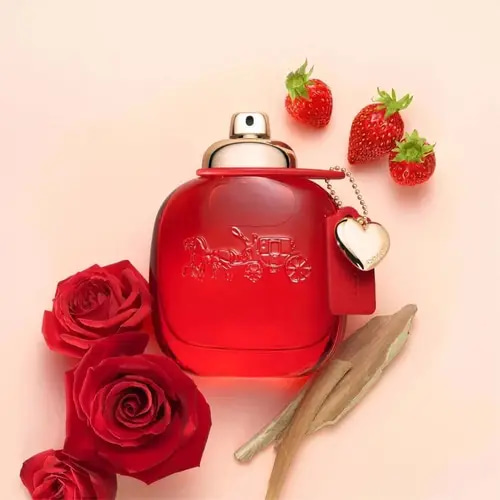 عطر كوتش نيويورك لوف للنساء او دو بارفيوم -90مل