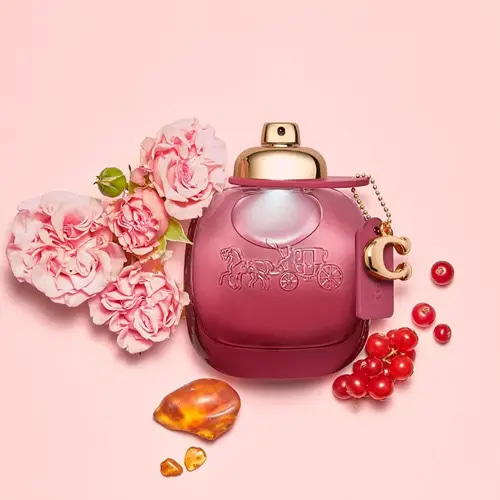 عطر كوتش نيويورك وايلد روز من كوتش - 90مل