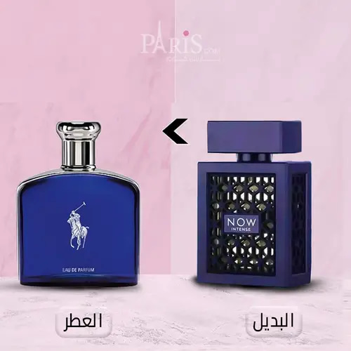 (بديل عطر بولو بلو رالف لورين) عطر راف ناو انتنس  -100مل
