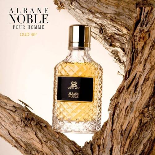 عطر عود 45 من البين نوبل للرجال - 100مل