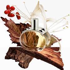 عطر هيرمس بارينيا او دو بارفيوم 100مل