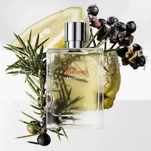 عطر ايو جيفري من تيري دي هيرمس او دو بارفيوم- 100مل