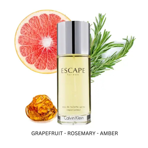 عطر كالفن كلاين اسكيب الرجالي تواليت - 100مل