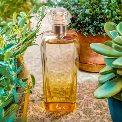 عطر هيرمس أون جاردن آ سيثير أو دو تواليت - 100 مل