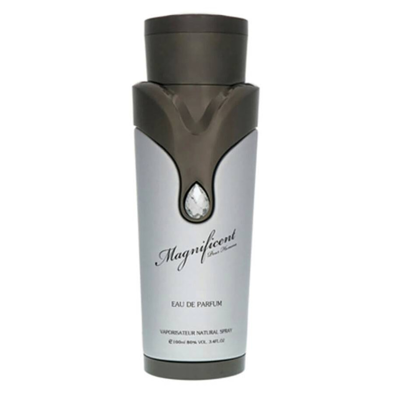 عطر ماغنيفيسنت بور هوم من أرماف للرجال– 100 مل