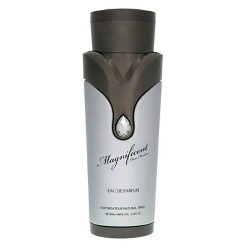 عطر ماغنيفيسنت بور هوم من أرماف للرجال– 100 مل