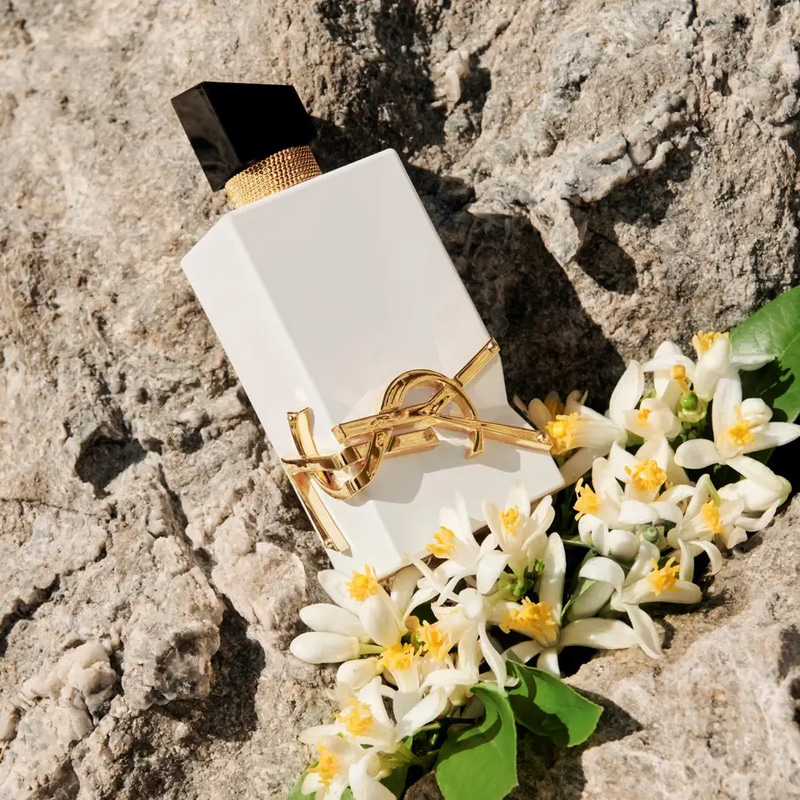 عطر ايف سان لوران ليبر ليو نوي بارفيوم دي بيو - 90مل
