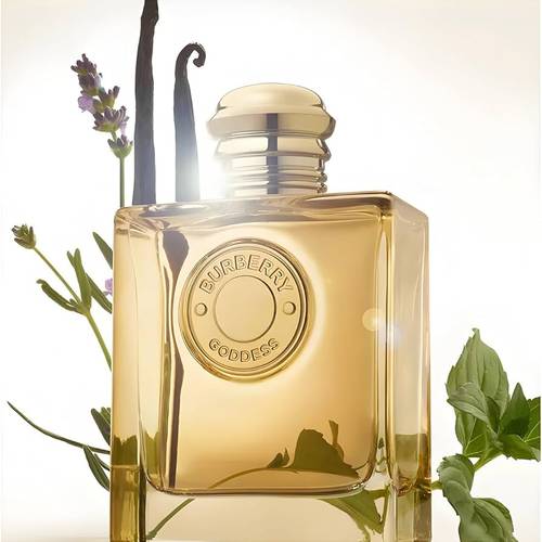 عطر بربري جوديس النسائي او دو بارفيوم انتنس -100مل