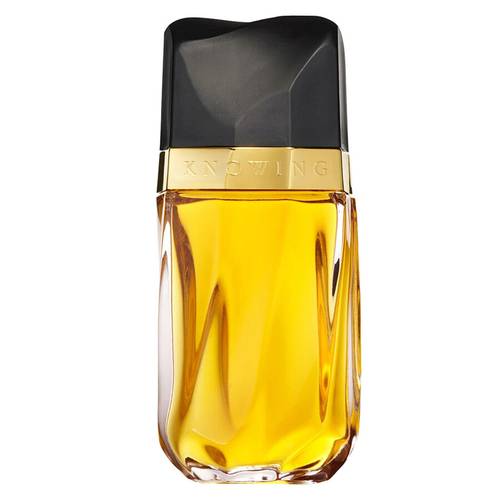 عطر نوينج استي لودر او دو بارفيوم - 75مل