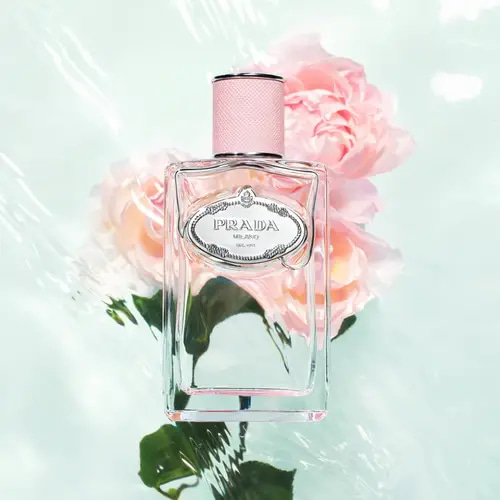 عطر برادا إنفيوجن دي روز أو دو بارفان -100 مل