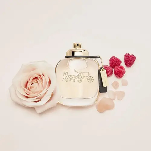 عطر كوتش نيويورك او دو بارفيوم - 90مل