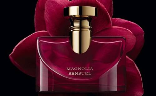 عطر بولغاري سبلينديدا ماغنوليا سينشول او دو بارفيوم - 100مل