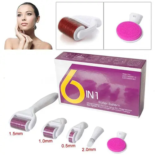 مجموعة ديرما رولر 6 ×1 مع فرشاة تنظيف الوجه بالماسك Massager Microneedle MTS Skin Care